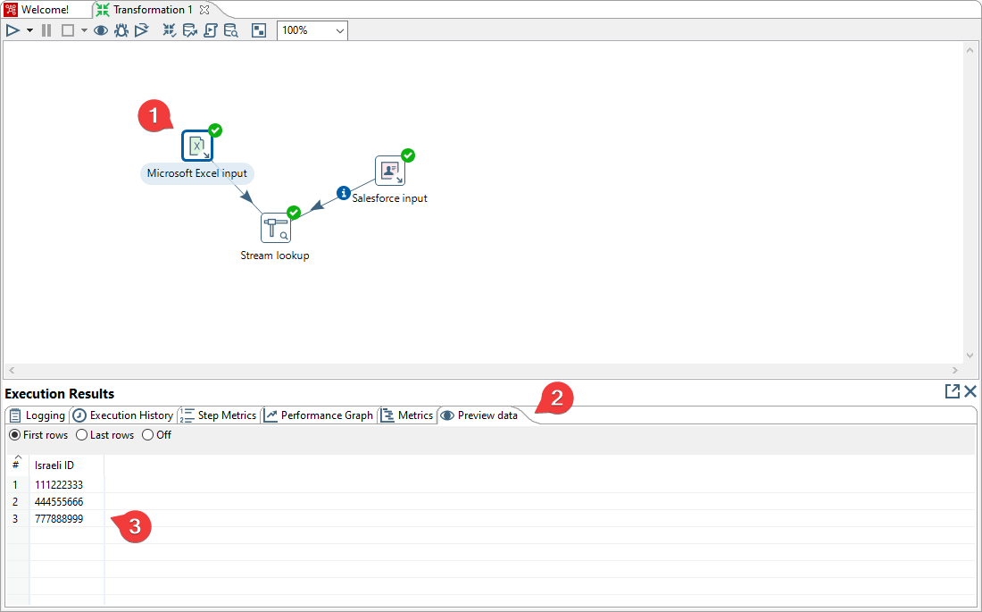 Microsoft Excel Input Preview Data